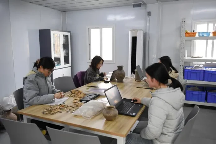 Student-Shaanxi-Archaeology-Xinhua