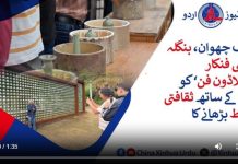 لونگ چھوان، بنگلہ دیشی فنکار ’سیلاڈون فن‘ کو چین کے ساتھ ثقافتی روابط بڑھانے کا ذریعہ بنا رہے ہیں