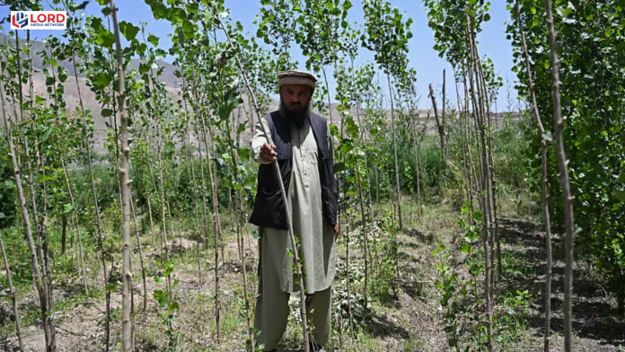افغانستان میں تجارتی بندش کے باعث کسان مالی مشکلات کا شکار