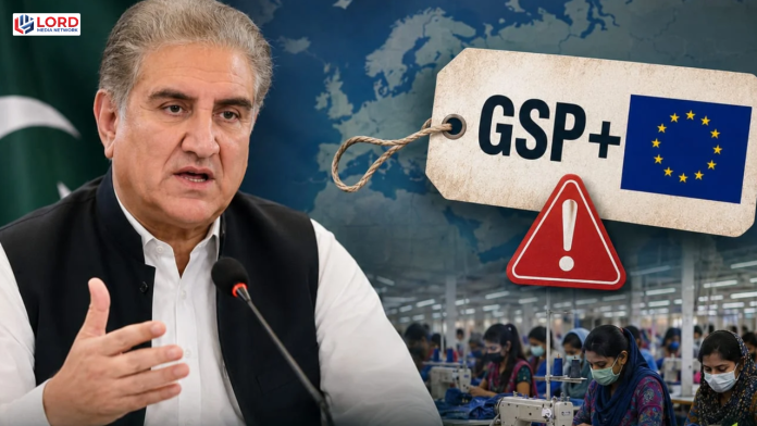 جی ایس پی پلس سہولت  خطرے میں ہے، شاہ محمود قریشی کا جیل سے بیان جاری