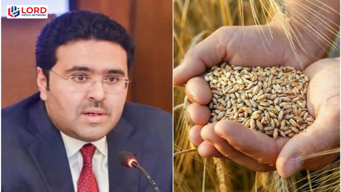 سندھ میں گندم کی قلت کی خبروں کی تردید