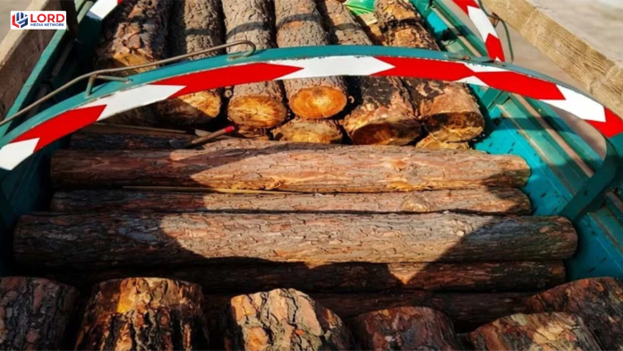 جی ٹی روڈ راولپنڈی پر قیمتی لکڑی کا ٹرک ضبط