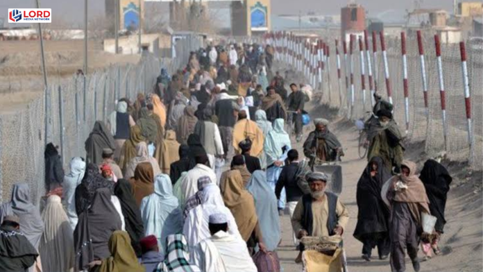 ملک بھر میں غیرقانونی مقیم افغان شہریوں کے خلاف کریک ڈاؤن کا آغاز