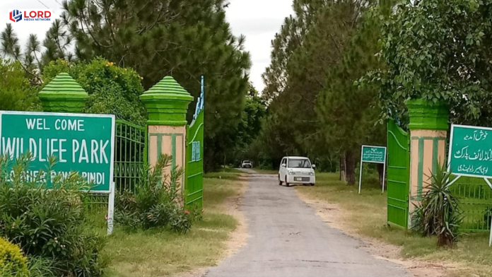 اسلام آباد میں پاکستان کا پہلا ورلڈ کلاس وائلڈ لائف سفاری پارک قائم کرنے کا منصوبہ منظور