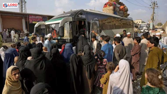 پنجاب سے 35 ہزار 719 غیر ملکی باشندے ڈی پورٹ