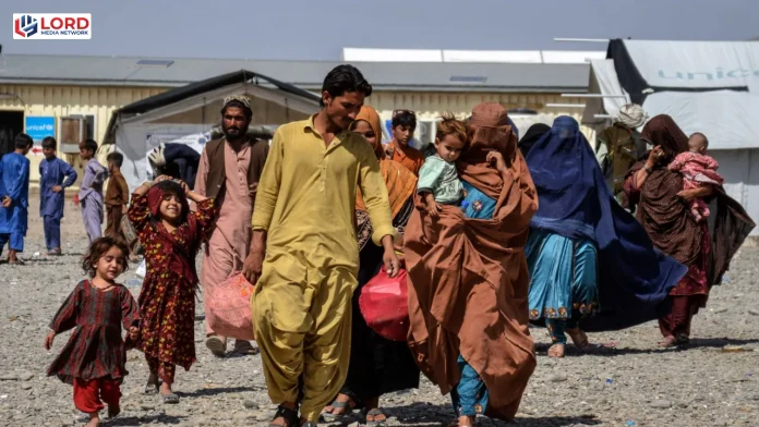 پنجاب میں غیر قانونی طور پر مقیم ایک لاکھ 40 ہزار افغان باشندے واپس بھیج دیے گئے