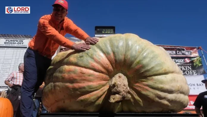 Rhode Island farmer grows record pumpkin