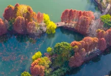 چین کے شہر کون شان میں موسم سرما کے رنگ