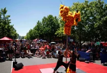 آسٹریلیا کے شہر کینبرا میں گھوڑے کے سال کی رنگینیاں چھا گئیں