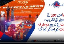 نمیبیا میں چین کے بہار میلے کی تقریب، ثقافت کے ذریعے دوطرفہ تعلقات کو اجاگر کیا گیا