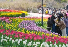 چین میں ثقافتی مکالمے اور عوامی تبادلے کے فروغ کے لئے یورپی کلچر سٹریٹ 2026 کا انعقاد