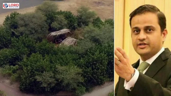 کراچی میں اربن فاریسٹ منصوبہ، آلودگی کی کمی میں پیشرفت