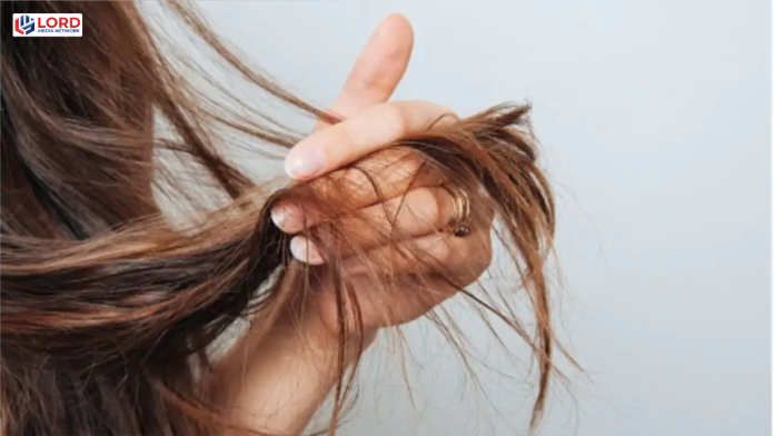 گرمیوں میں بالوں کی دیکھ بھال کیسے کریں؟