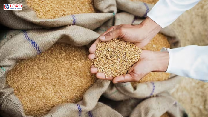 ای سی سی  نےخیبرپختونخوا کو اضافی گندم کی منظوری دے دی