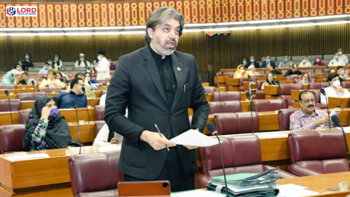 مسلح افواج اور عدلیہ پر تنقید نہیں ہونی چاہیے: علی محمد خان