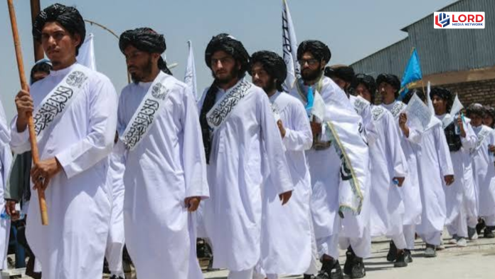 افغانستان:چھوٹی داڑھی کیوں؟  طالبان نے 20 امدادی کارکن حراست میں لیے