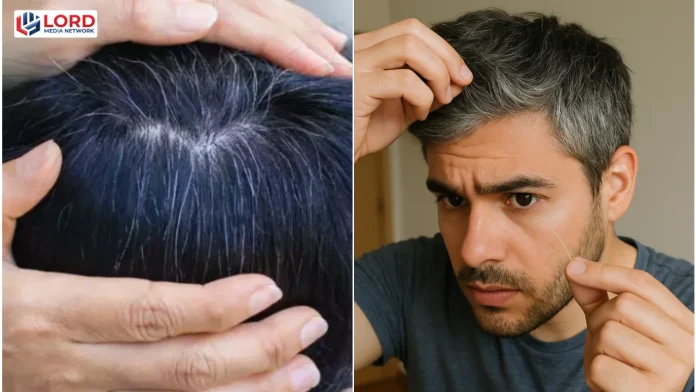 نوجوانوں میں سفید بال کیوں بڑھ رہے ہیں؟ ماہرین نے اہم وجوہات بتا دیں