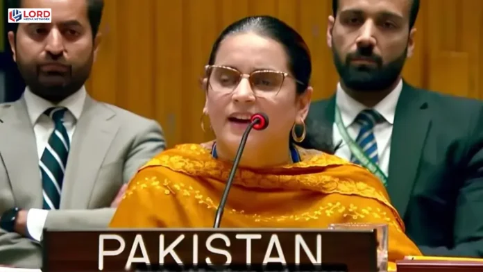 کشمیر بھارت کا داخلی معاملہ نہیں، صائمہ سلیم
