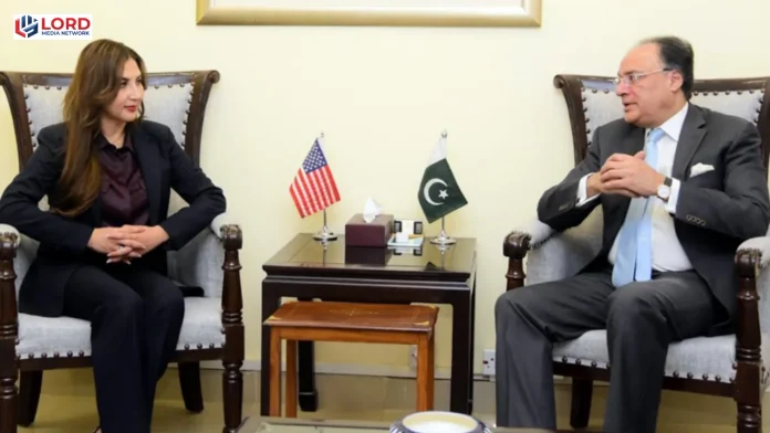 وفاقی وزیر خزانہ کی امریکی ناظم الامور سے ملاقات، اقتصادی تعاون بڑھانے پر گفتگو
