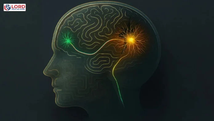 چینی کمپنی نے دماغی پیوندکاری کا نیا طریقہ  متعارف