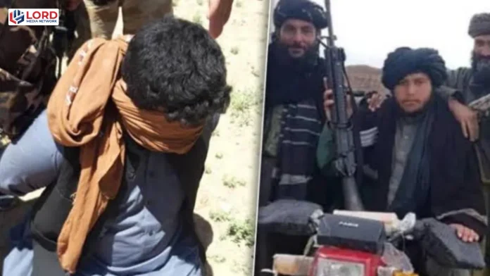 طالبان نے ہرات میں اقوام متحدہ کے دو افغان اہلکار گرفتار کرلیے