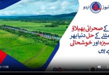 چین کے صحرائی پھیلاؤ سے نمٹنے کے حل دنیا بھر میں سبزہ اور خوشحالی لا رہے ہیں